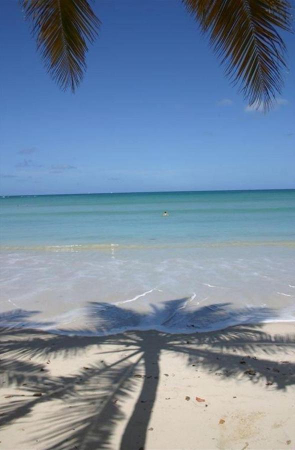 T2 Les Pieds Dans L'Eau Face A La Mer Des Caraibes Sainte Luce - Trois Rivieres Екстер'єр фото