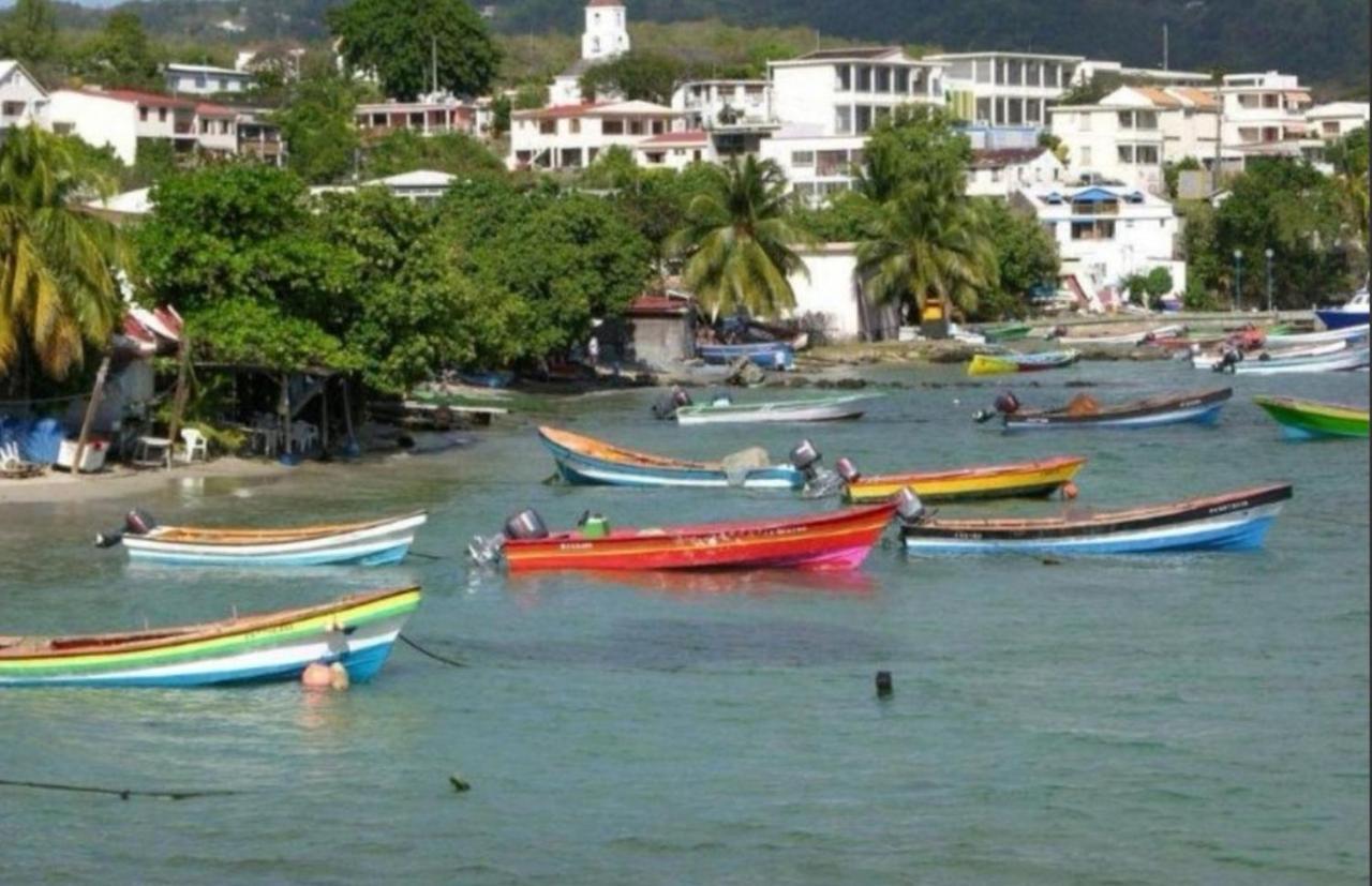 T2 Les Pieds Dans L'Eau Face A La Mer Des Caraibes Sainte Luce - Trois Rivieres Екстер'єр фото