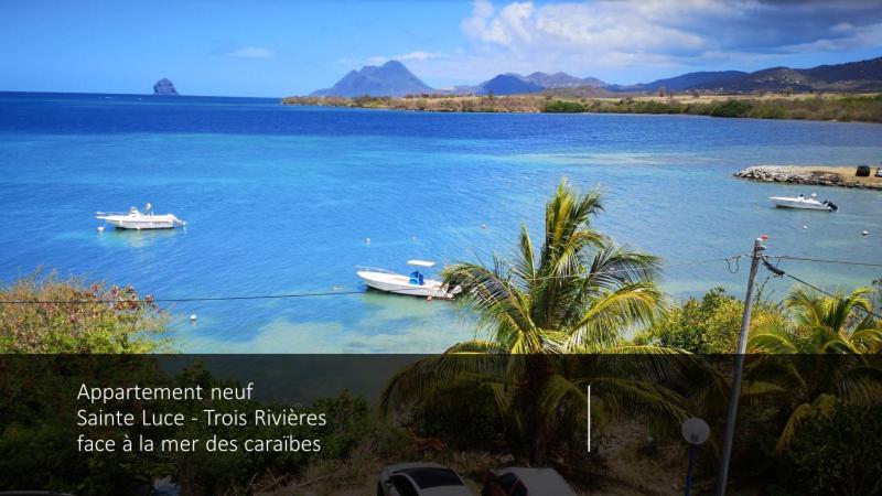 T2 Les Pieds Dans L'Eau Face A La Mer Des Caraibes Sainte Luce - Trois Rivieres Екстер'єр фото